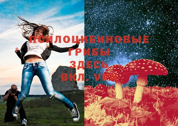 молекула духа Алексин