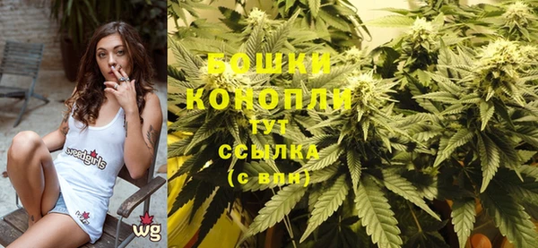 хмурый Мегион