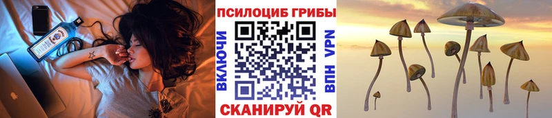 Псилоцибиновые грибы Psilocybine cubensis дарк нет Telegram Арамиль